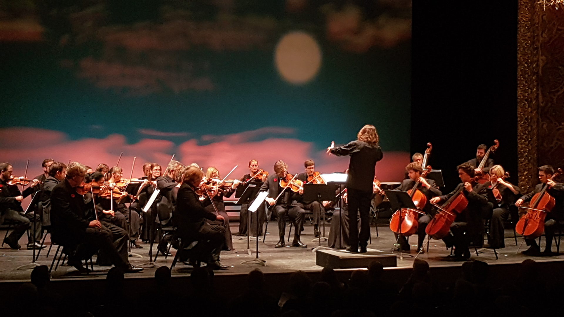 Québec - Les Violons du Roy à Namur en novembre 2018